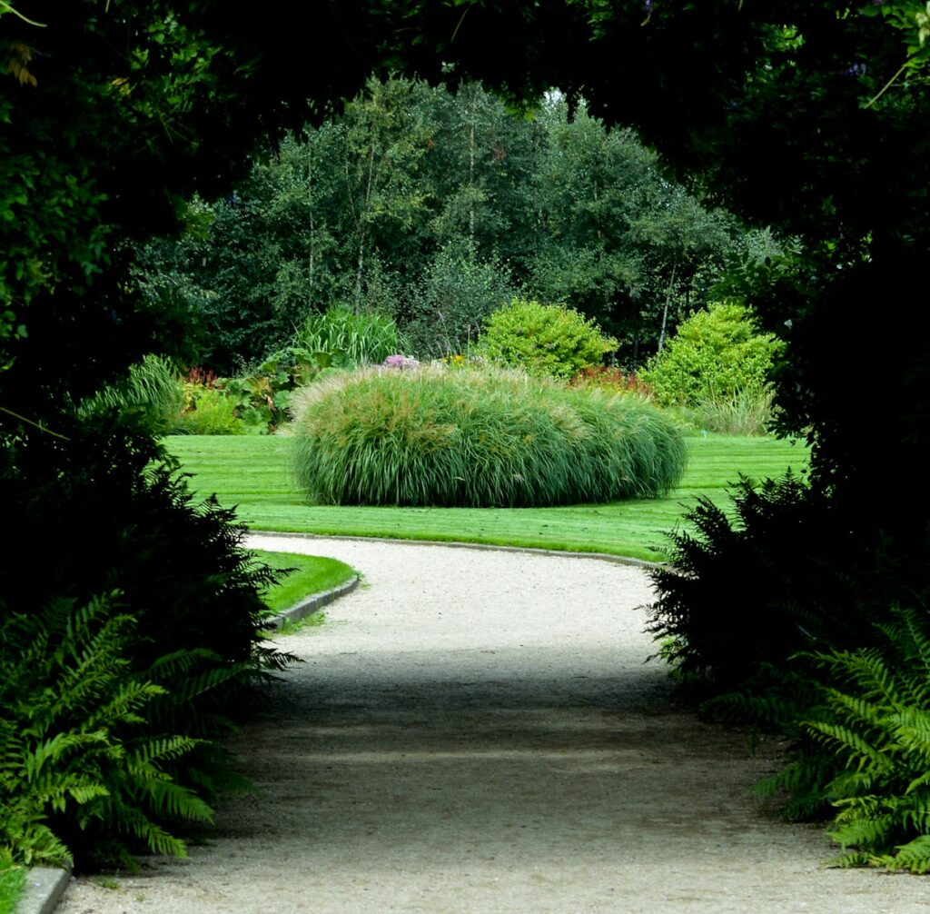 gartenbau und pflege